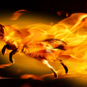 FireFox 1280