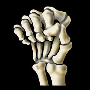 Skeletal Hand
Icon requested by Newominus.