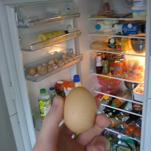 My goddamn fridge.