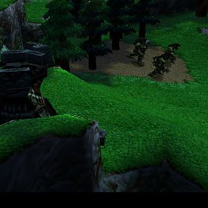 wc3scrnshot05211019384210
