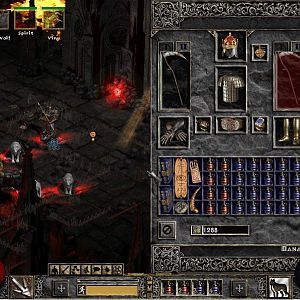 This is some of the potions I used to kill Diablo (I used 5 times as many)