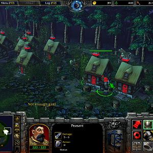WC3ScrnShot 052510 141559 02