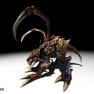 SC Ghost Zergling