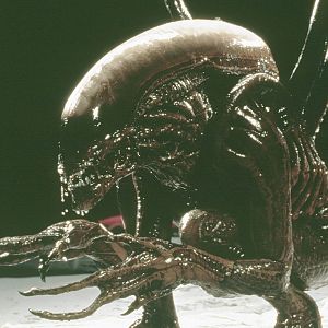 Alien