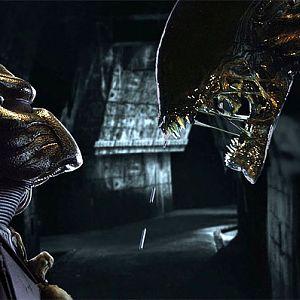 AVP