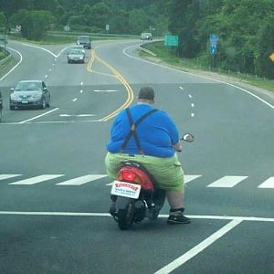 A little too big...