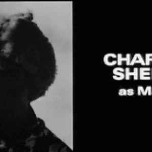 Charlie Sheen as Matt