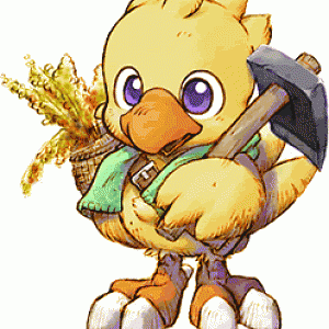Chocobo!!!!