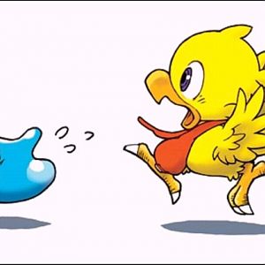 Chocobo!!!