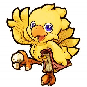 Chocobo!!