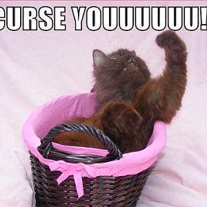 CURSE YOUUUUU!!!!
