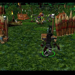 One day after the incident,Khaled finnaly arrived at Ashenvale.
-Looks like I found some of those orcs that people were talking of,I see that this is