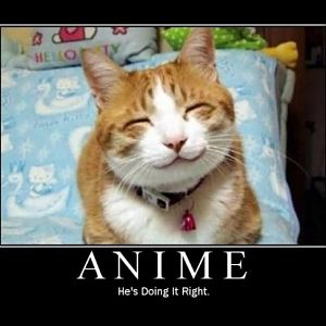 O.O I wanna have that neko!!!!! xDD