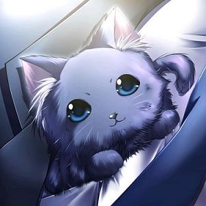 lil' neko ^^ (yeah cat again xDD)
