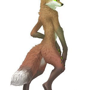 Kitsune by kesame