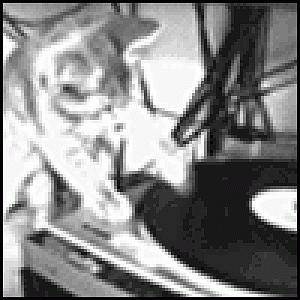 dj cat mix