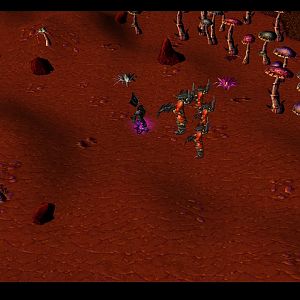 After a long walk through Outland, Khaled finnaly found some life.
Khaled:Hey demon, I guess you know where JokeMaster is.
Bloodfiend:Be gone orc, m