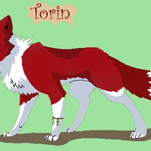 Second version of Torin.. 
He will be updated as things happen to him