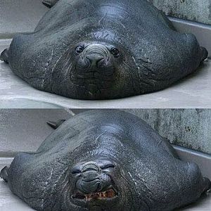 I tried to smile...I failed :(