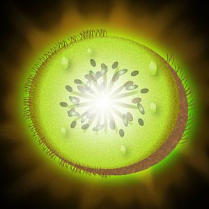 Kiwi