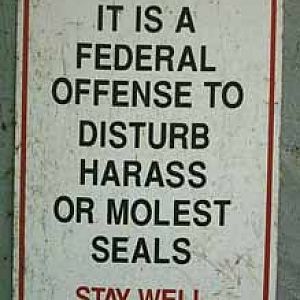 stay well back from the seals