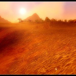 Barrens Pic