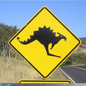 kangasaurus