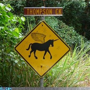 unicorn crossing
