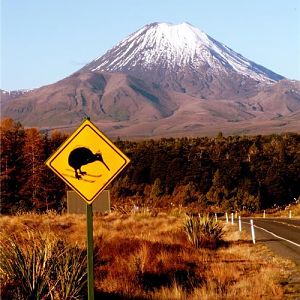 skiwi crossing
