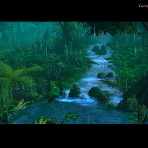 2.Rainforest