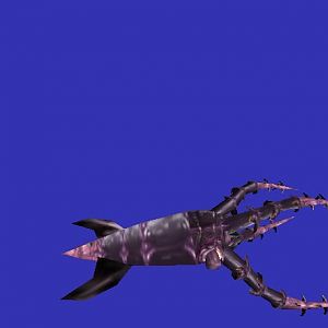 Giant Kalamari 2, just another pic of it....