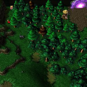 terrain4