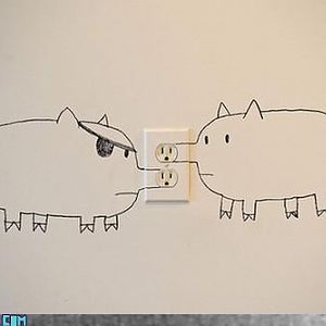 pigs