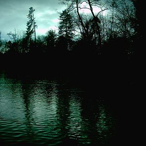 Dark