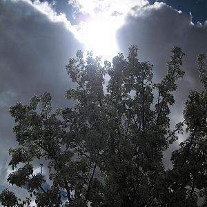 CIMG0371