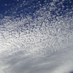 Skydrift