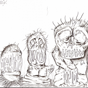 Submission for the Evolution Contest