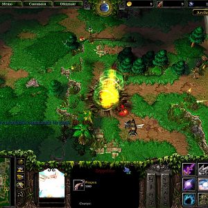 WC3ScrnShot 081210 121413 05