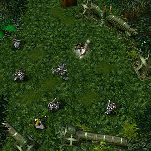 Veronnis takes in a little combat practice before proceeding on his journey to find another race. Alakae has volunteered to watch over the constructio