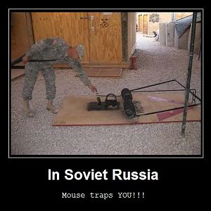 rat traps you