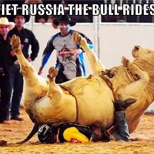 bull rides you