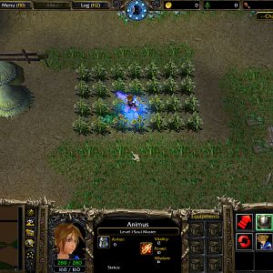 WC3ScrnShot 081910 145349 01