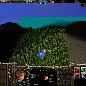 WC3ScrnShot 081910 145409 03