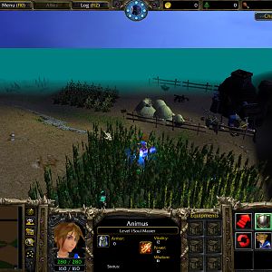 WC3ScrnShot 081910 145418 05