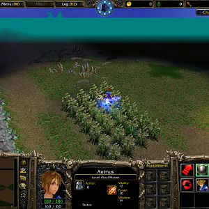 WC3ScrnShot 081910 145425 06