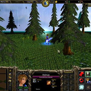 WC3ScrnShot 081910 145711 13