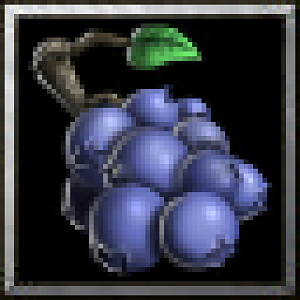 BTNBerries