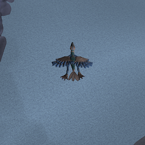 Fly
