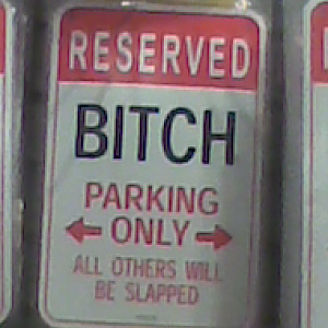 Bitch