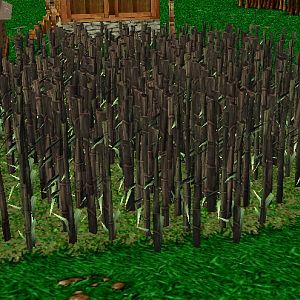 A small Bamboo Forest.